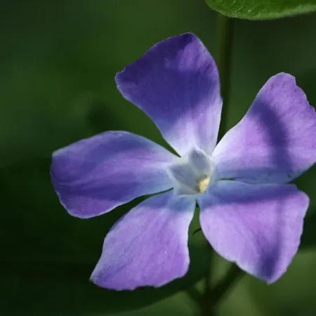 In With Terrace Holiday home