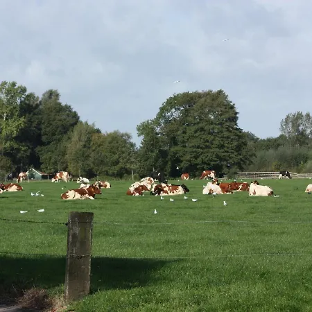 In With Terrace Geesteren (Overijssel)