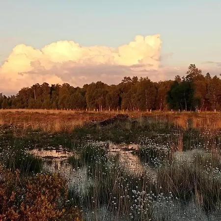 In With Terrace Holiday home