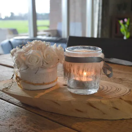 In With Terrace * Geesteren (Overijssel)