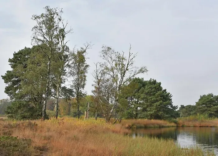 In With Terrace Tatil Evi