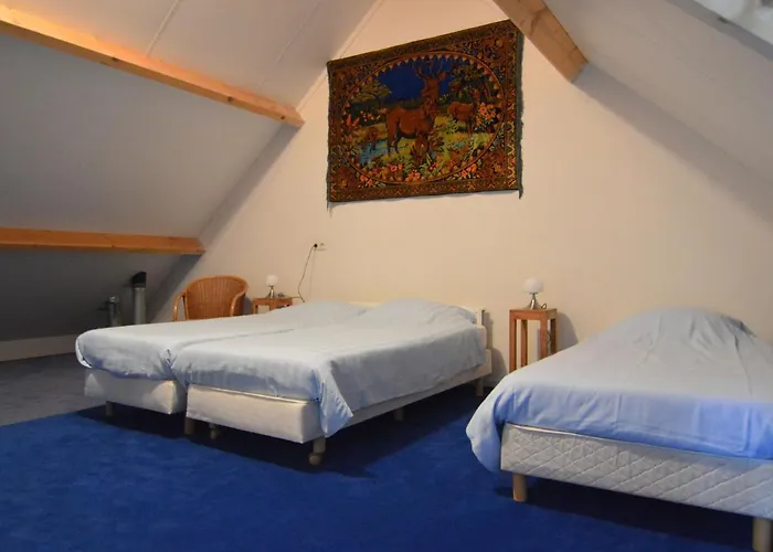 Tatil Evi In With Terrace Geesteren (Overijssel)