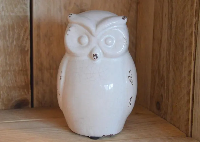 In With Terrace * Geesteren (Overijssel)