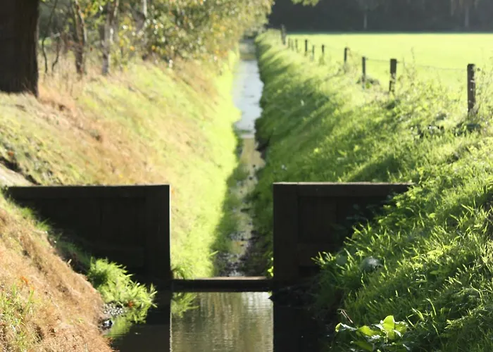 In With Terrace Geesteren (Overijssel)