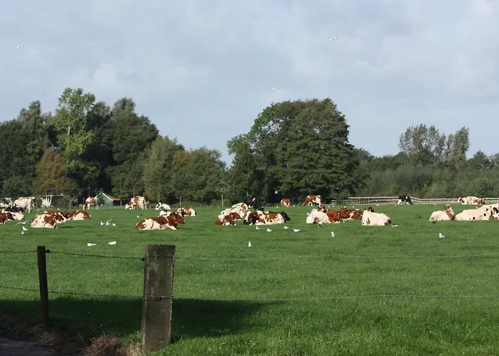 In With Terrace Geesteren (Overijssel)