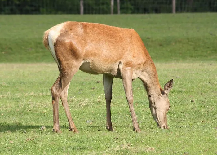 Tatil Evi In With Terrace