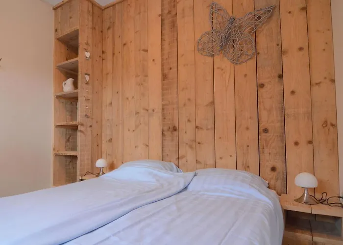 In With Terrace Tatil Evi Geesteren (Overijssel)