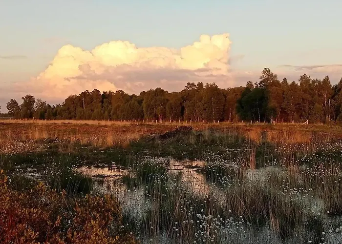 In With Terrace Tatil Evi