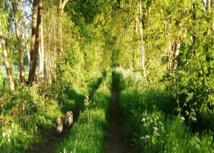 Tatil Evi In With Terrace *