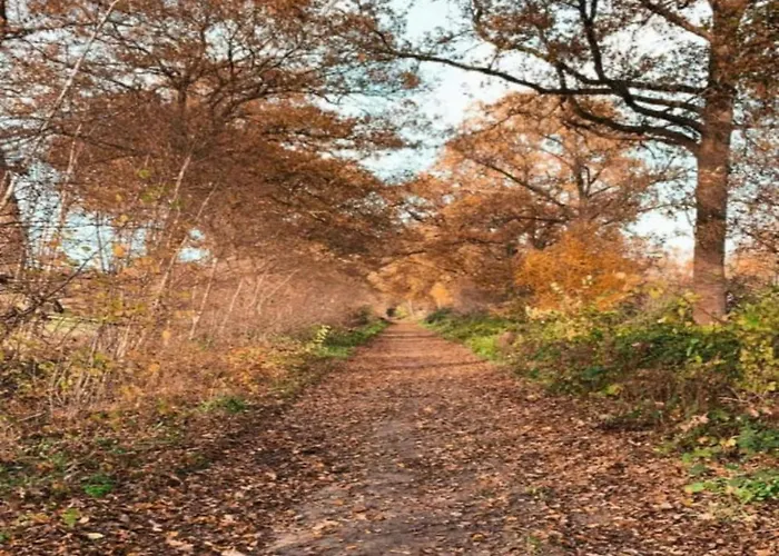 In With Terrace Tatil Evi