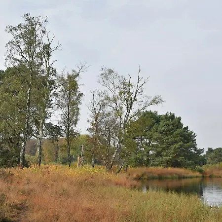 In With Terrace Nyaraló