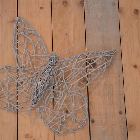 In With Terrace Nyaraló Geesteren